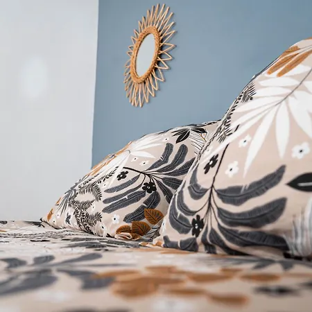 Apartman T2 Centre A 2 Min Gare St-roch Avec Climatisation
